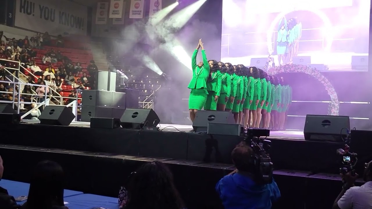 Alpha Chapter Alpha Kappa Alpha Sorority, Inc. in 2022 Homecoming Stepshow