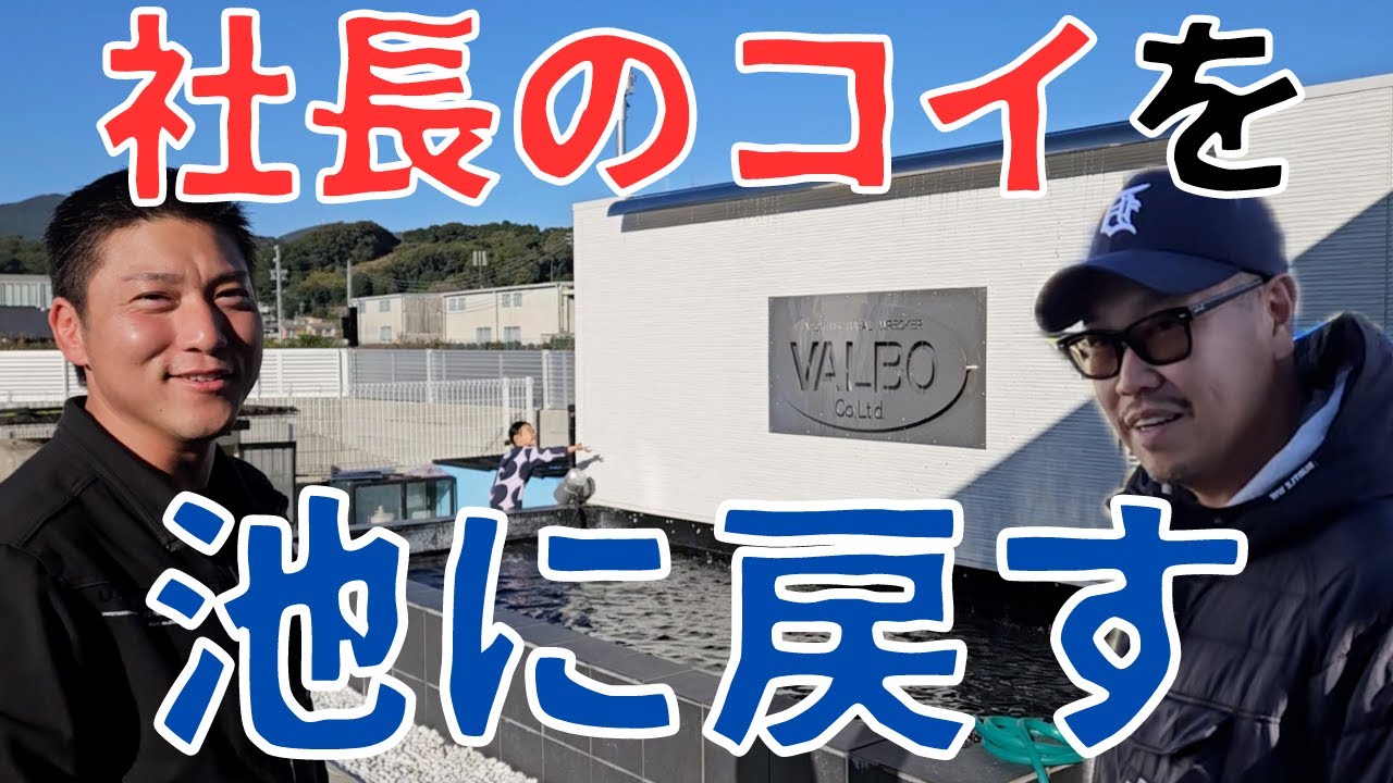 【豪邸】池上げした錦鯉を持って帰ってきたら家がとんでもなかった