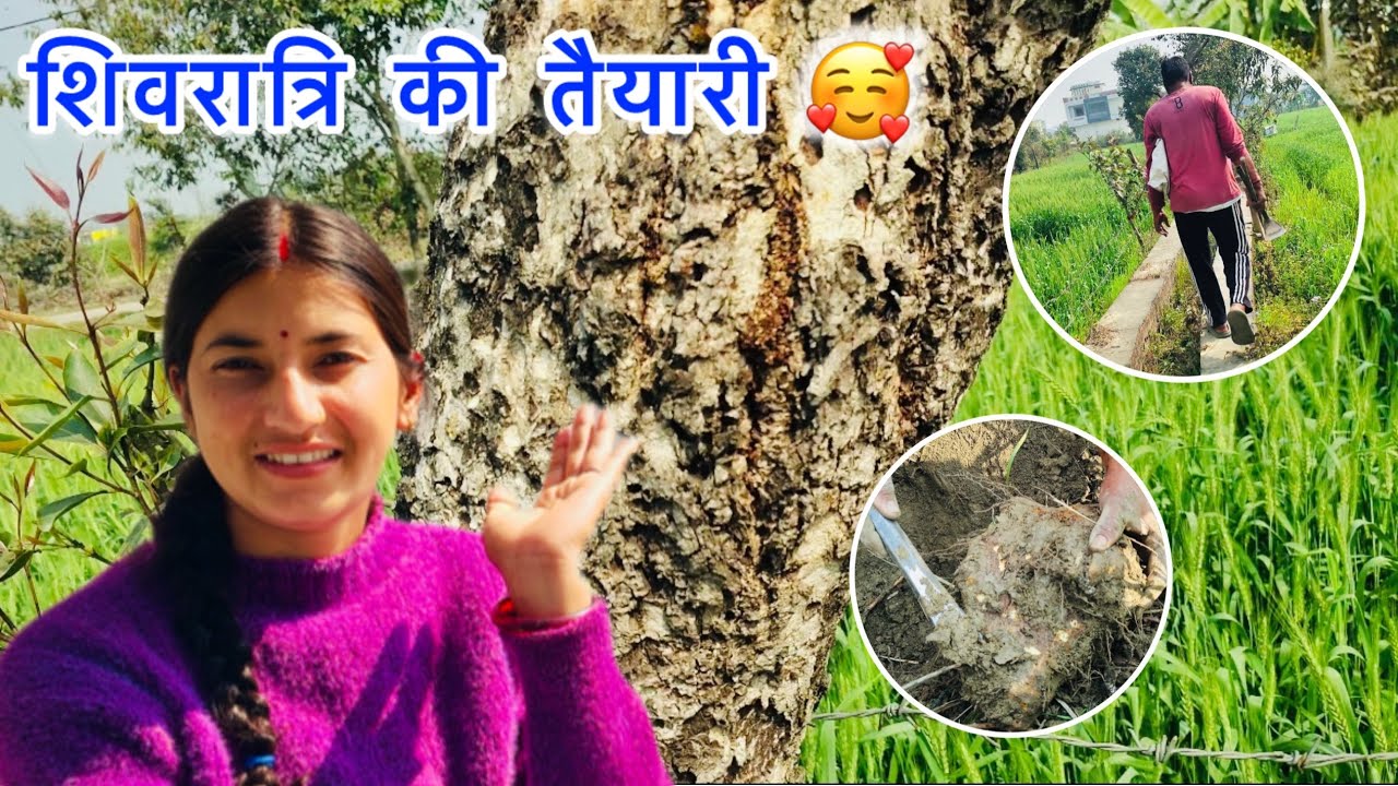 शिवरात्रि की हो गई तैयारी🌸🙏 || Festival Vlog❤️