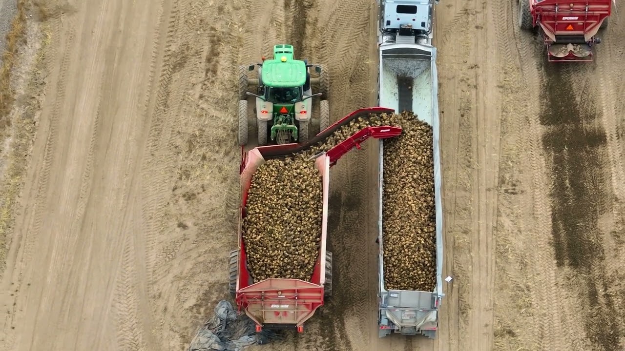 2024 Sugar Beet Harvest | Great Rift Transportation