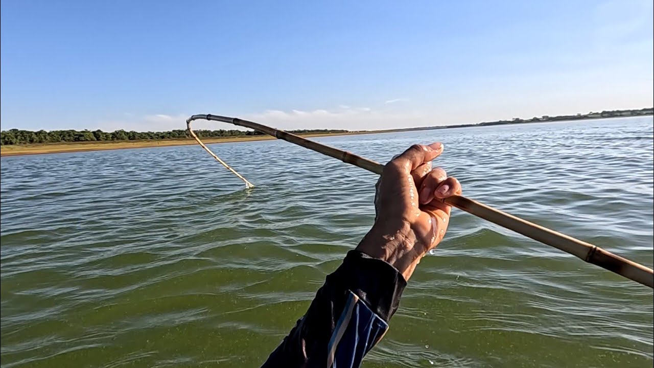 O maior cardume que já vi tudo debaixo das varas só gigantes, Pescaria Rio grande. Riolândia sp