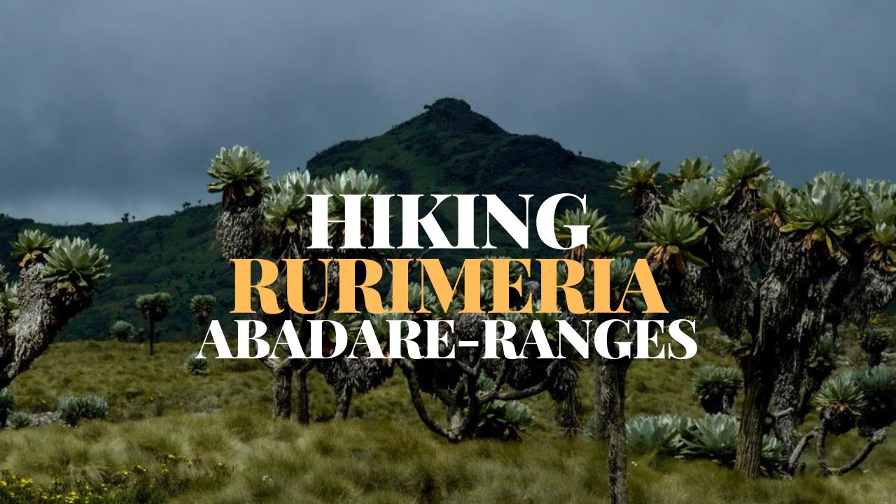 Hiking RURIMERIA - Abadare Ranges (Toughest trail in the range?) | Nyandarua County, Kenya