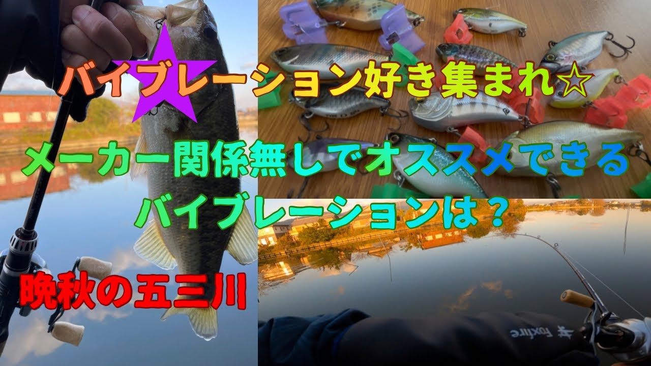 晩秋の五三川、良いルアーは良い！メーカー関係無しでお勧めできるバイブレーションは？