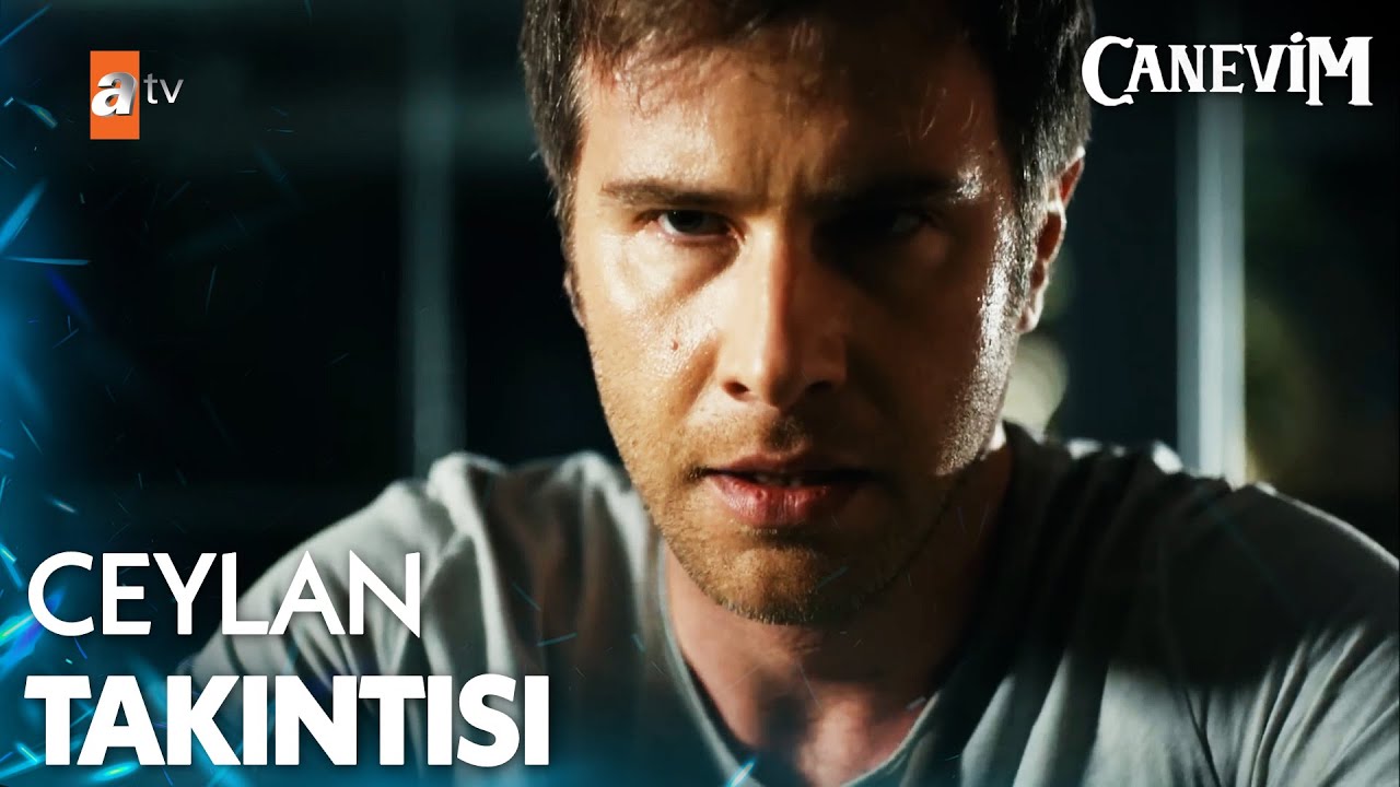 Taylan, Ceylan ile kafayı bozdu - Canevim 2. B&ouml;l&uuml;m