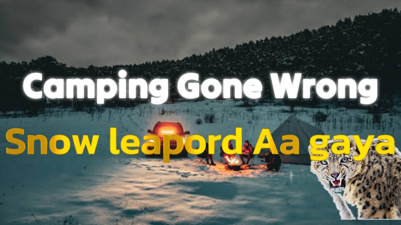 Camping at -4°C | Ushu Forest