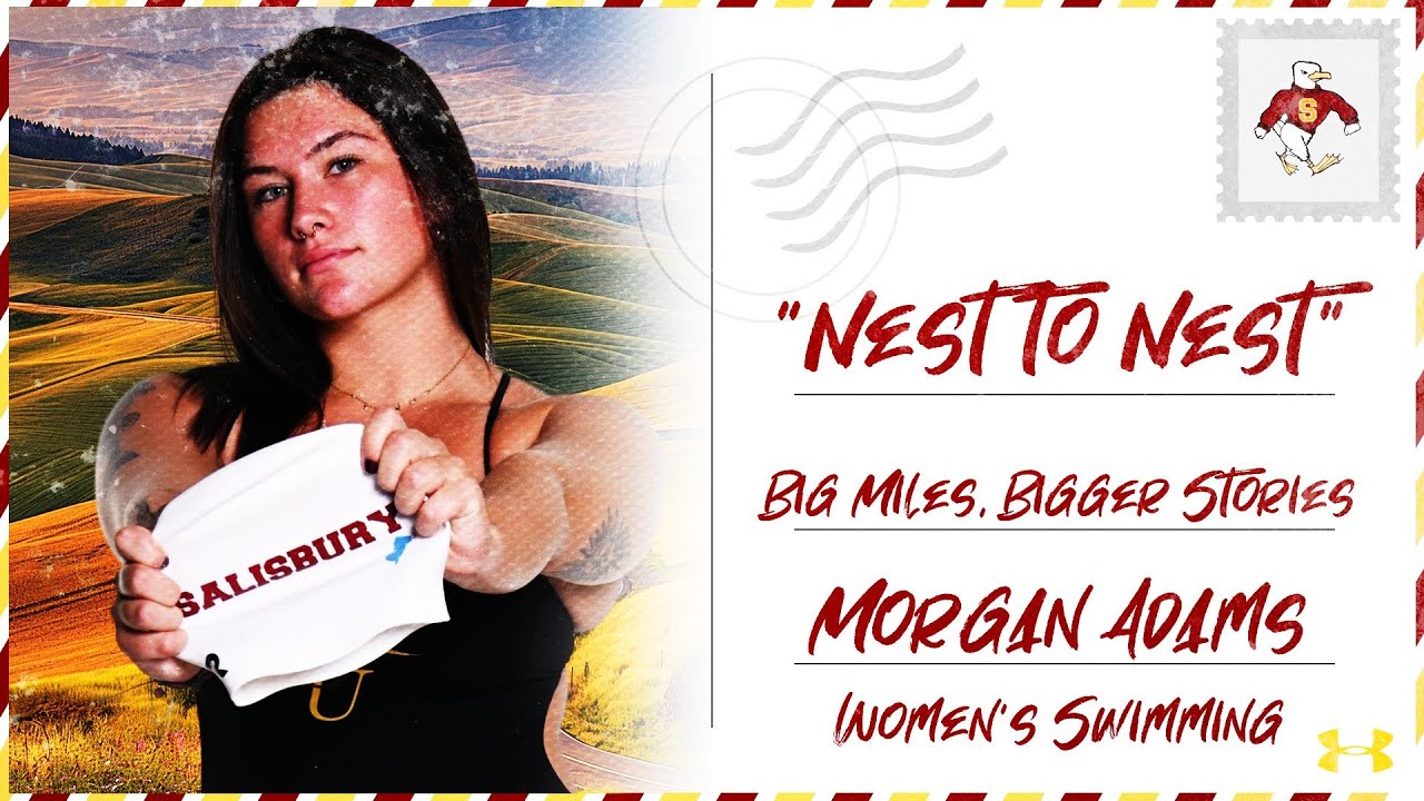 Nest to Nest | Morgan Adams, Women's Swimming