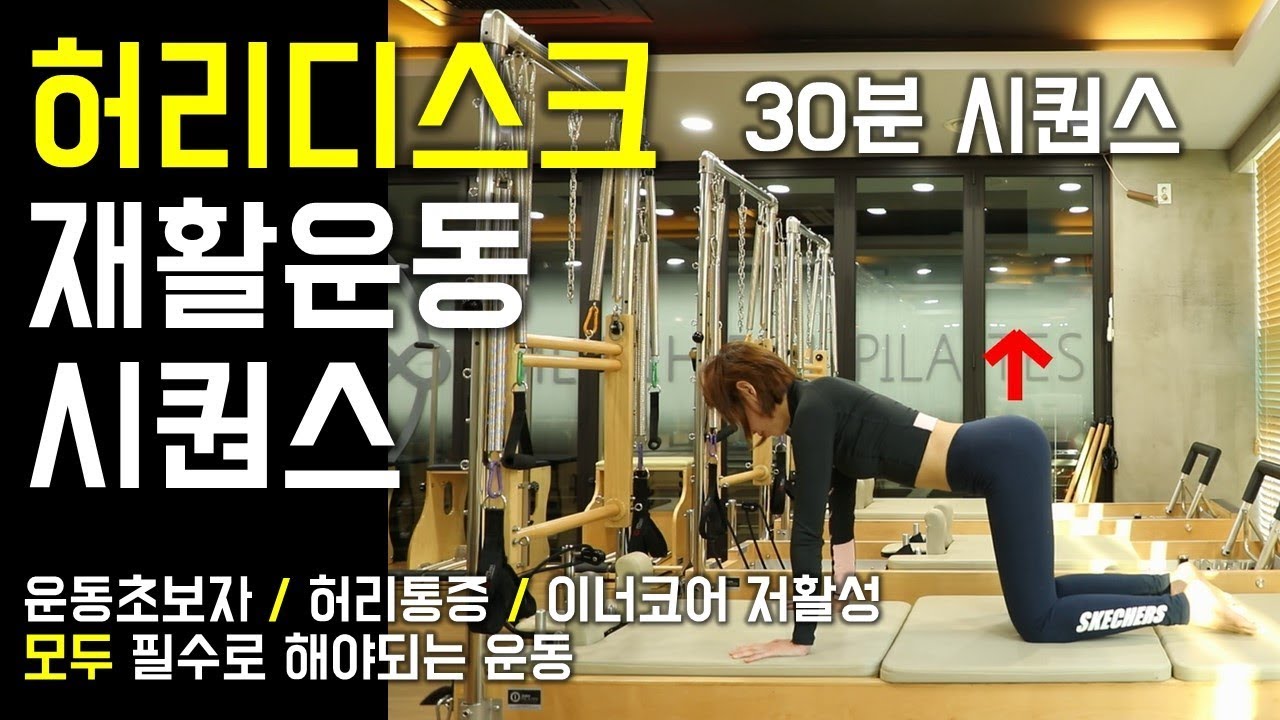 허리디스크 재활 운동 시퀀스ㅣ허리통증 완화 운동ㅣ운동초보 생기초 맨몸 운동