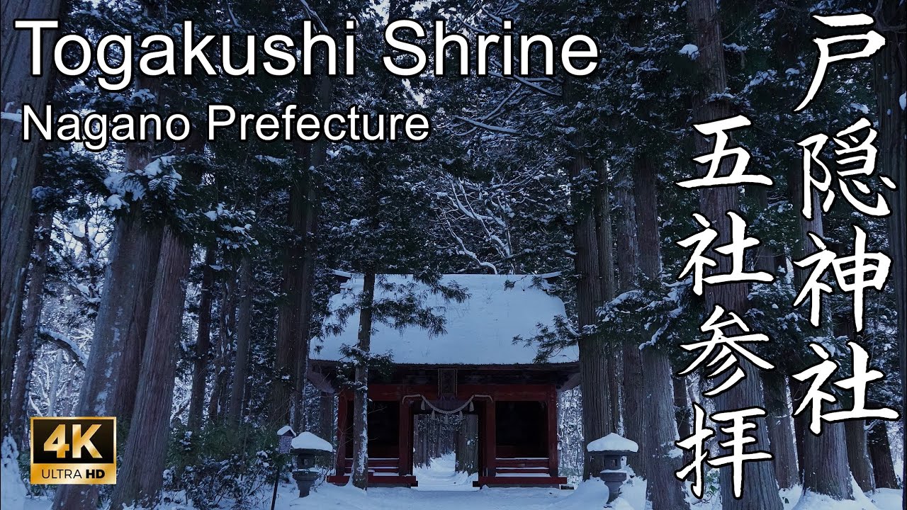 【4K】誰もいない冬の戸隠神社五社参拝 (Togakushi Shrine in winter with no visitors | Shinto Shrine in Nagano, Japan)