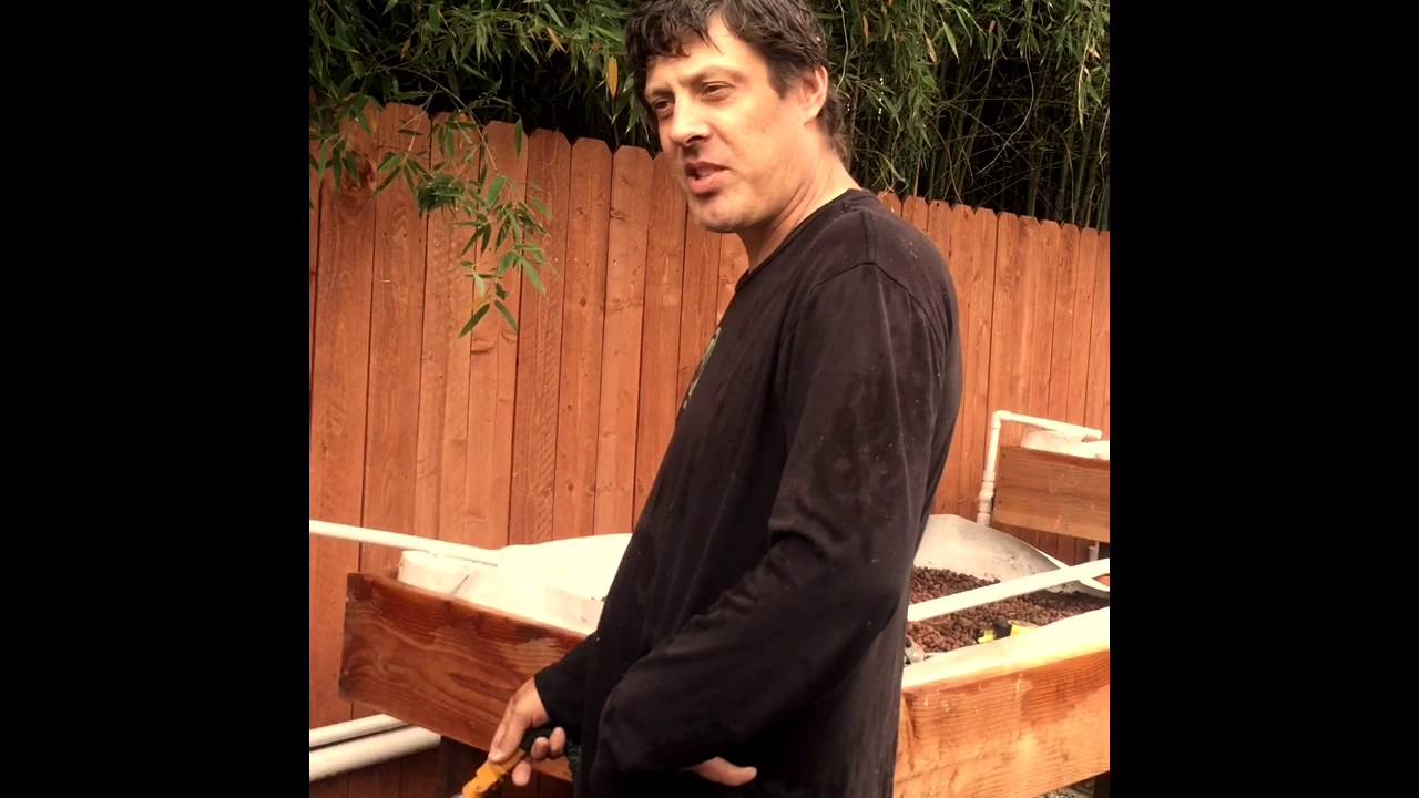 Aquaponics chop 2 fill up