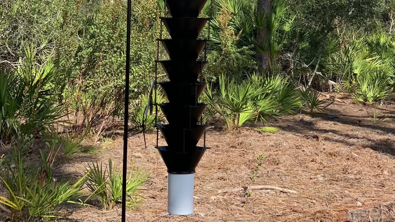 Pine Bark Beetle traps-Do something versus nothing to help reduce insect damage