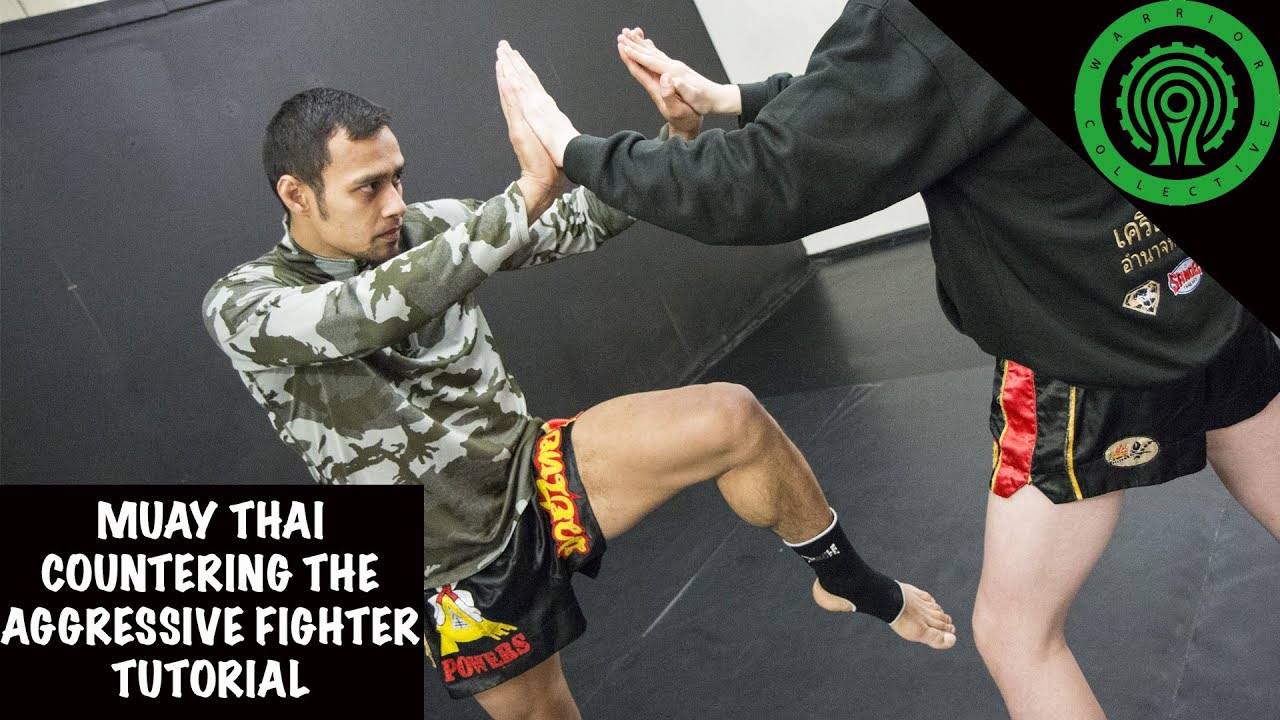 Muay Thai Countering the Aggressive Fighter Tutorial