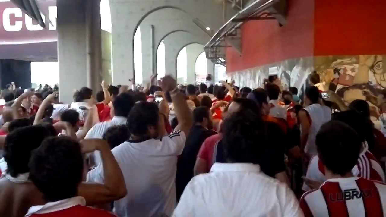 Ya vas a ver al gallinero vestido de Fiesta