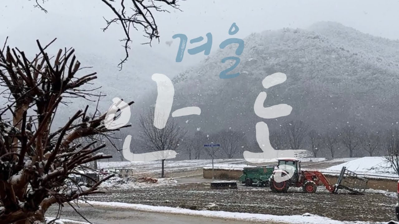 [vlog _겨울 안동 여행] 눈 내리는 1박2일 뚜벅이 안동 여행🌨️•안동찜닭골목•낙강 물길 공원•하회 마을•하회 마을 숙소 추천•솔밭식당• 안동 카페,맛집 추천☕️🐟