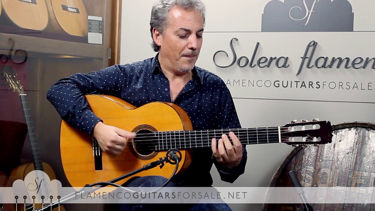 Pedro Javier Gonz&aacute;lez & David Dom&iacute;nguez in Solera Flamenca: 