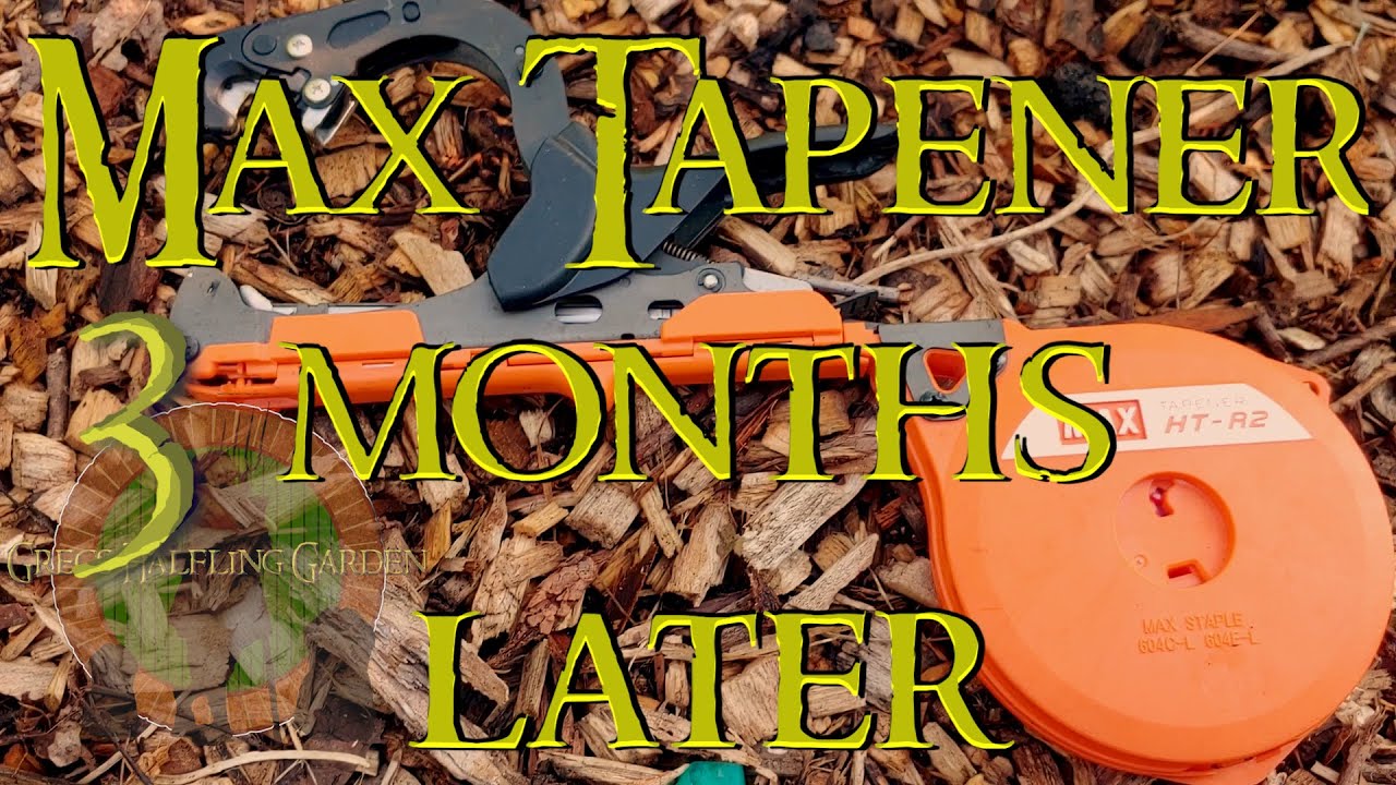 Max Tapener 3 months later