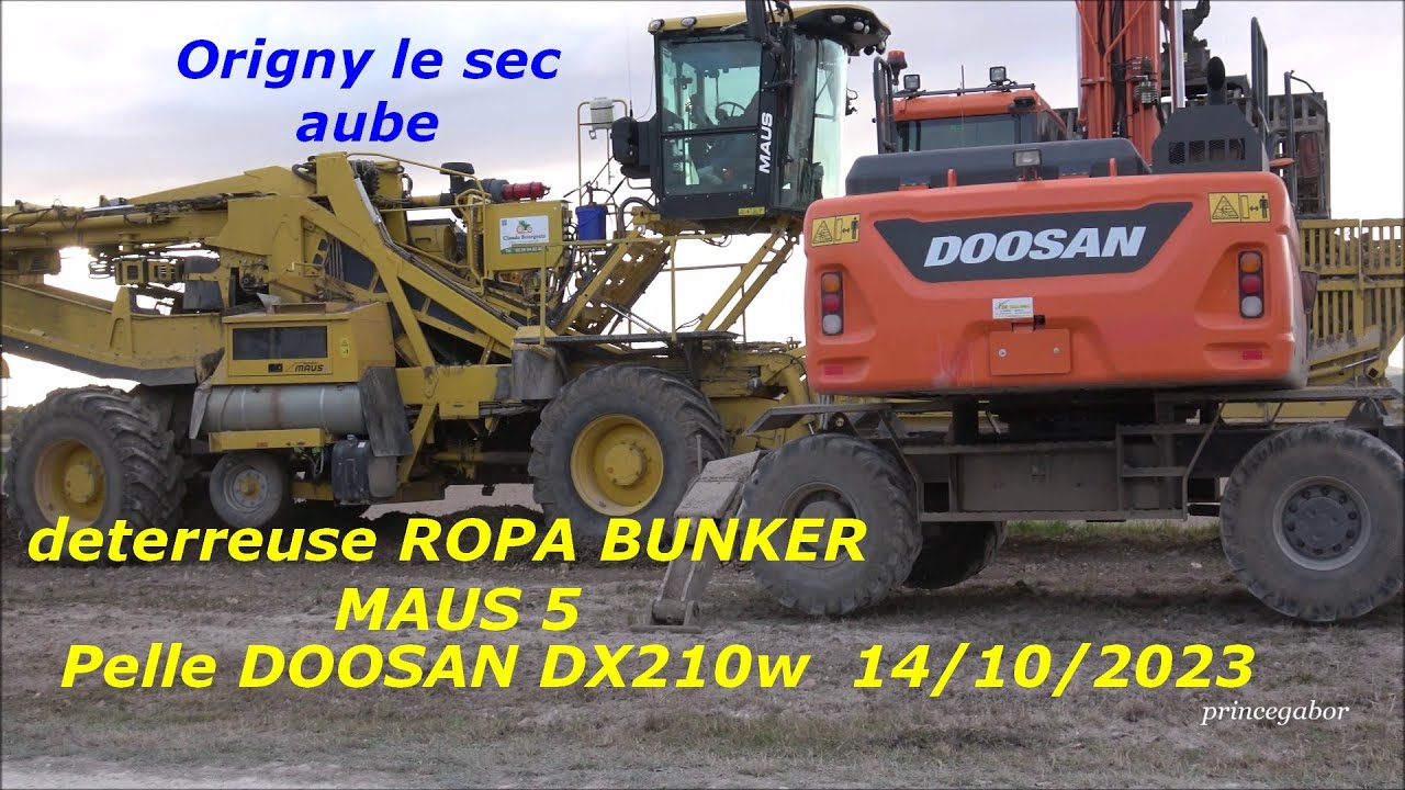 CHANTIER DETERREUSE BETTERAVES / ROPA BUNKER Maus 5 / DOOSAN DX210w / 14 OCT 2023