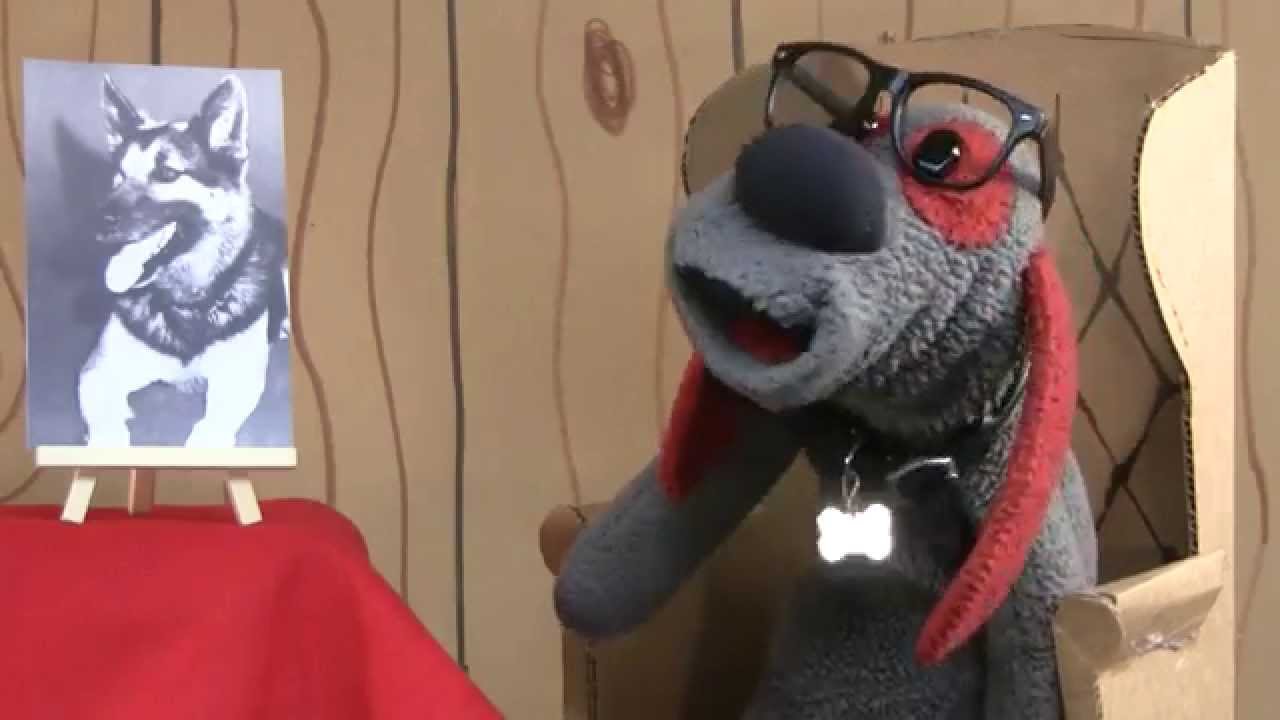 Famous Dogs of History #103 - Nemo