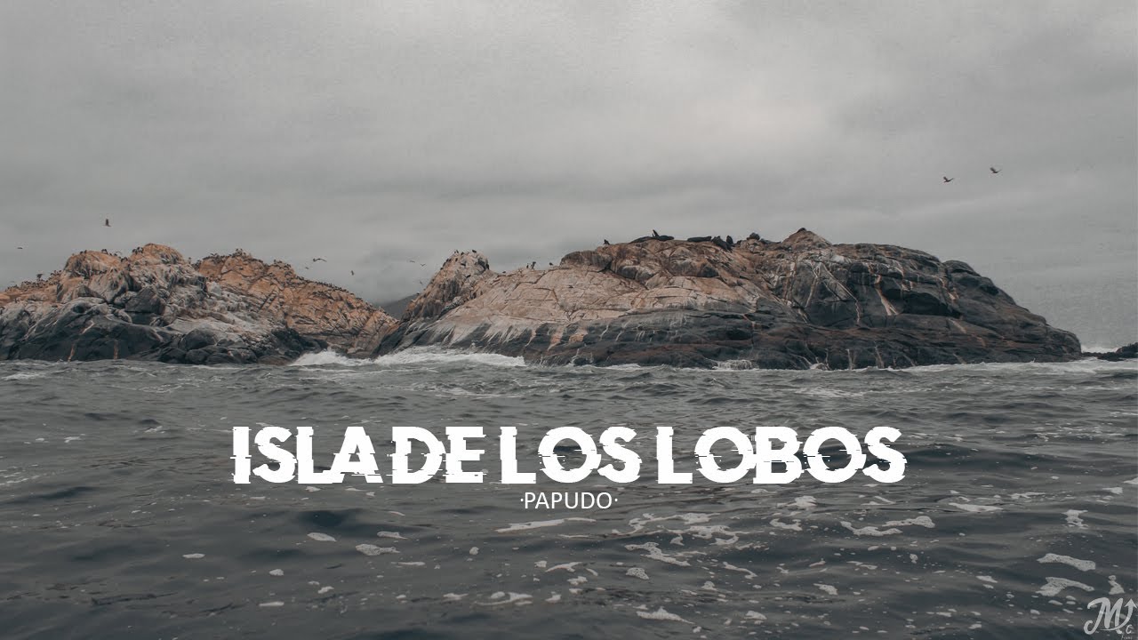 Paseo a la Isla de los Lobos, Papudo 2021 🚤🌊