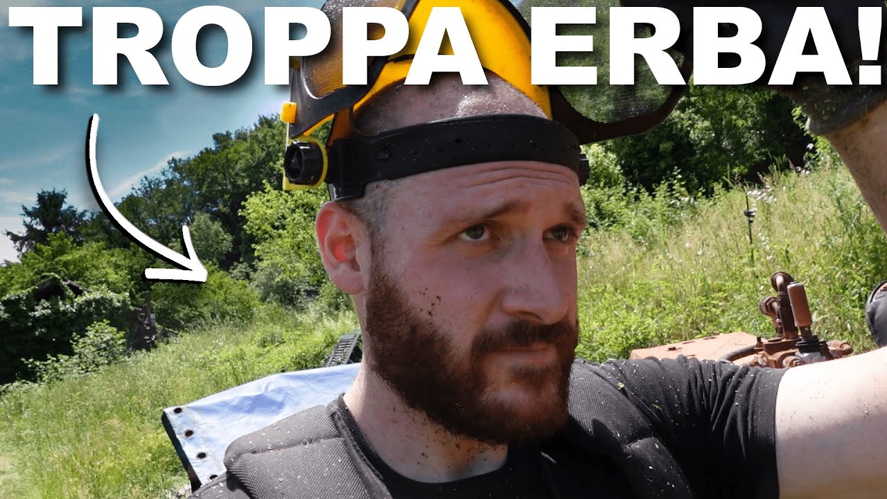 L’Erba è FUORI CONTROLLO Nella Mia Azienda Agricola!
