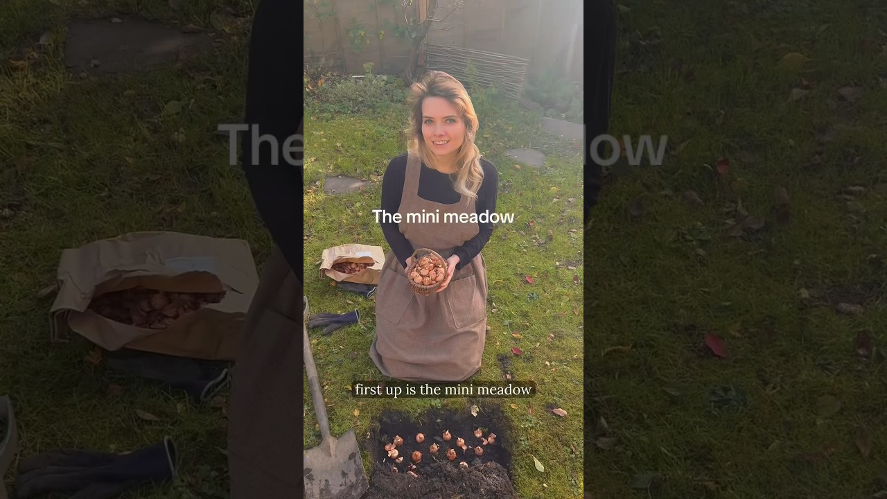 Favourite things in my cottage garden 🌱