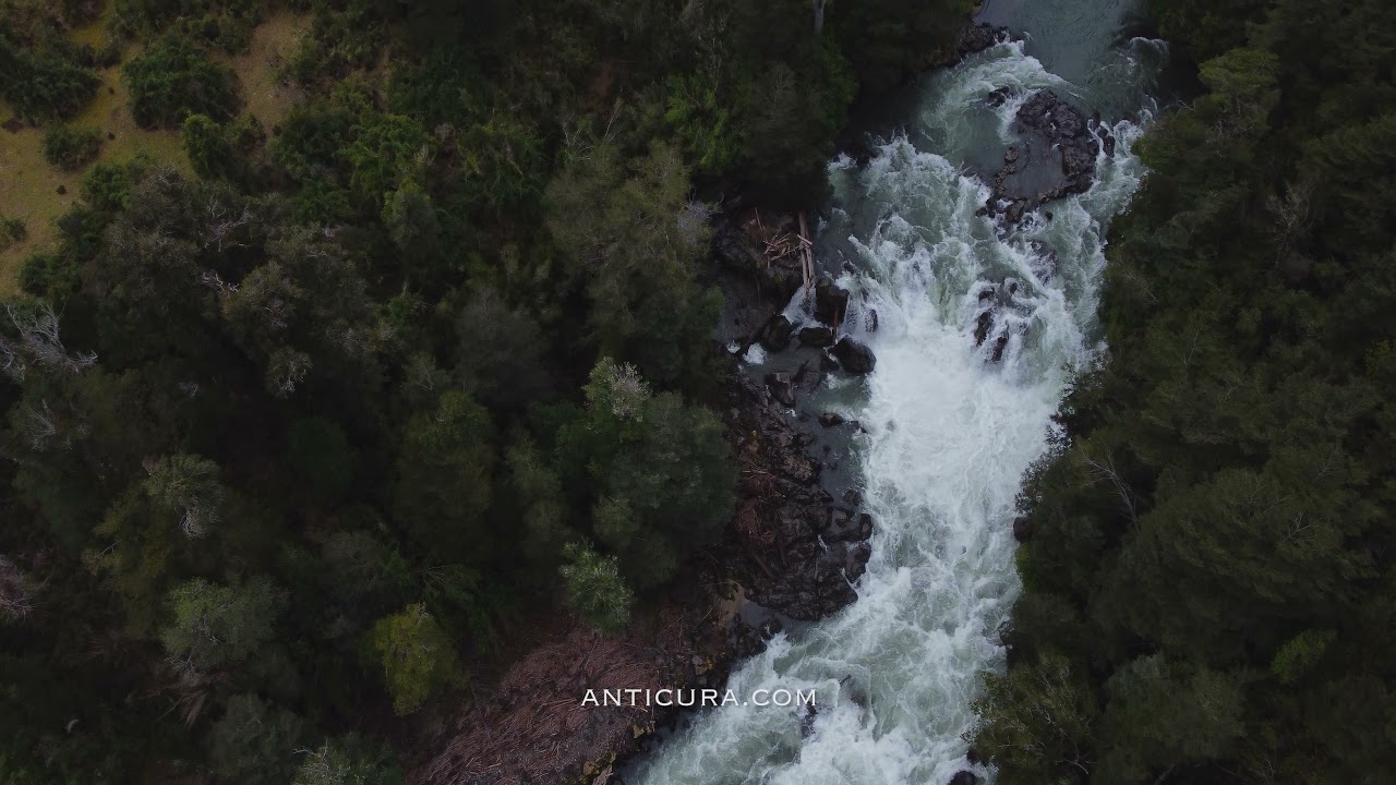 Anticura