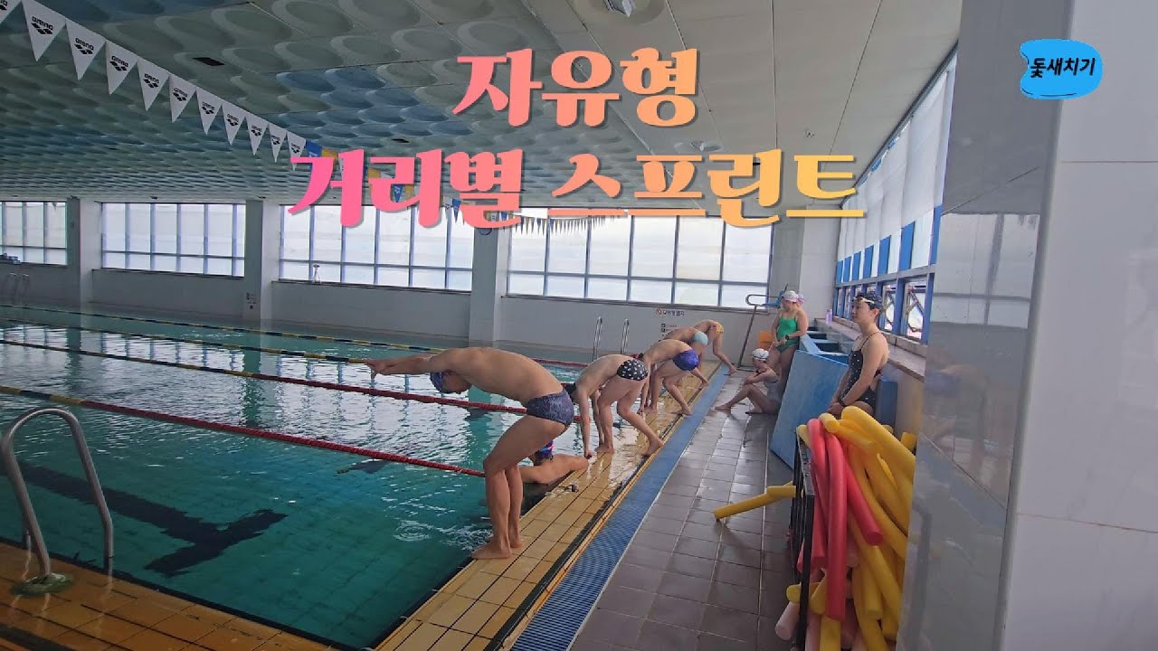 자유형 거리별 스프린트