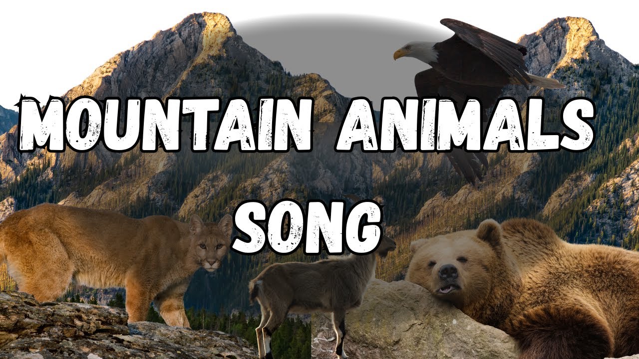 Mountain Animals Song for Kids | Educational Wildlife Music for Preschoolers