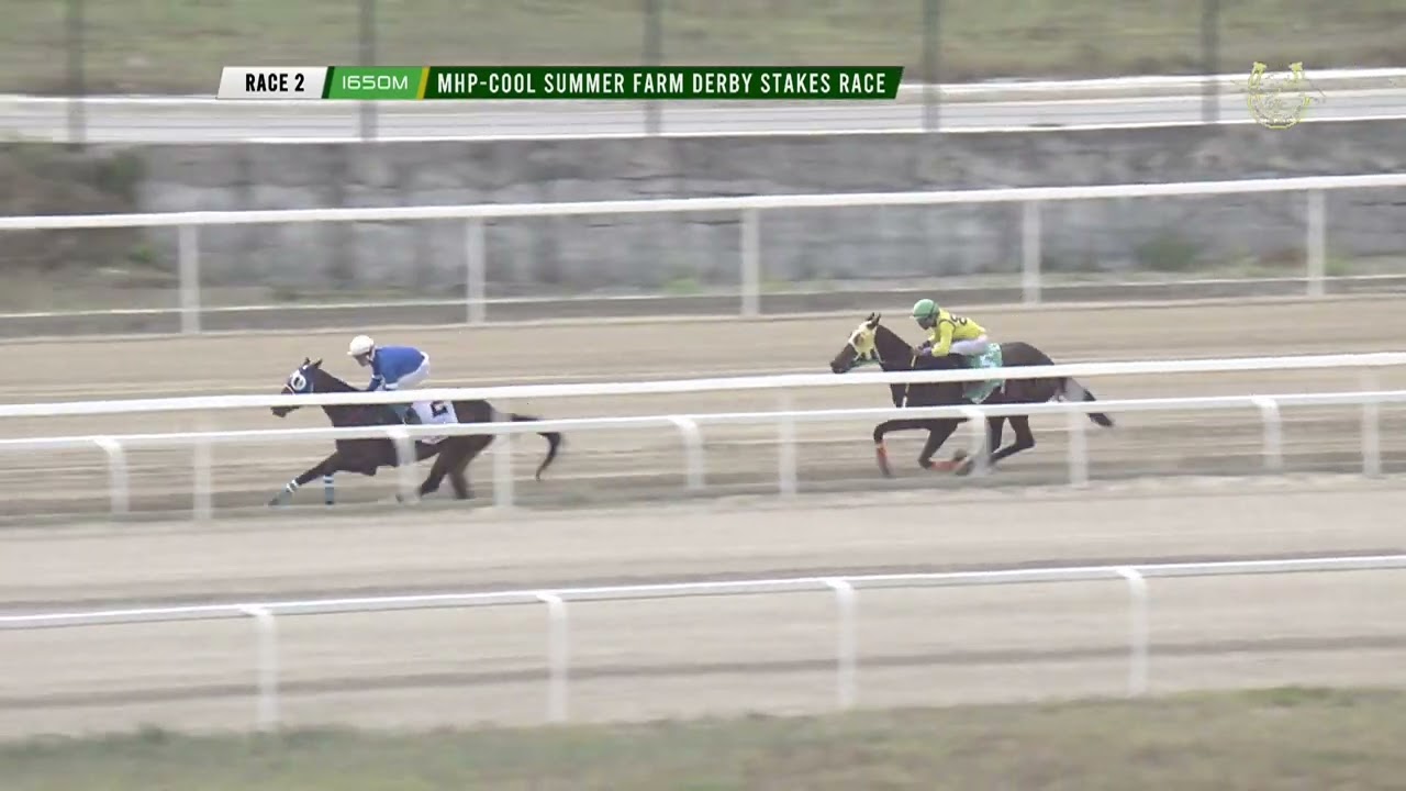 Race 2 MHP COOL SUMMER FARM DERBY STAKES RACE 1650m MAR 15 2026