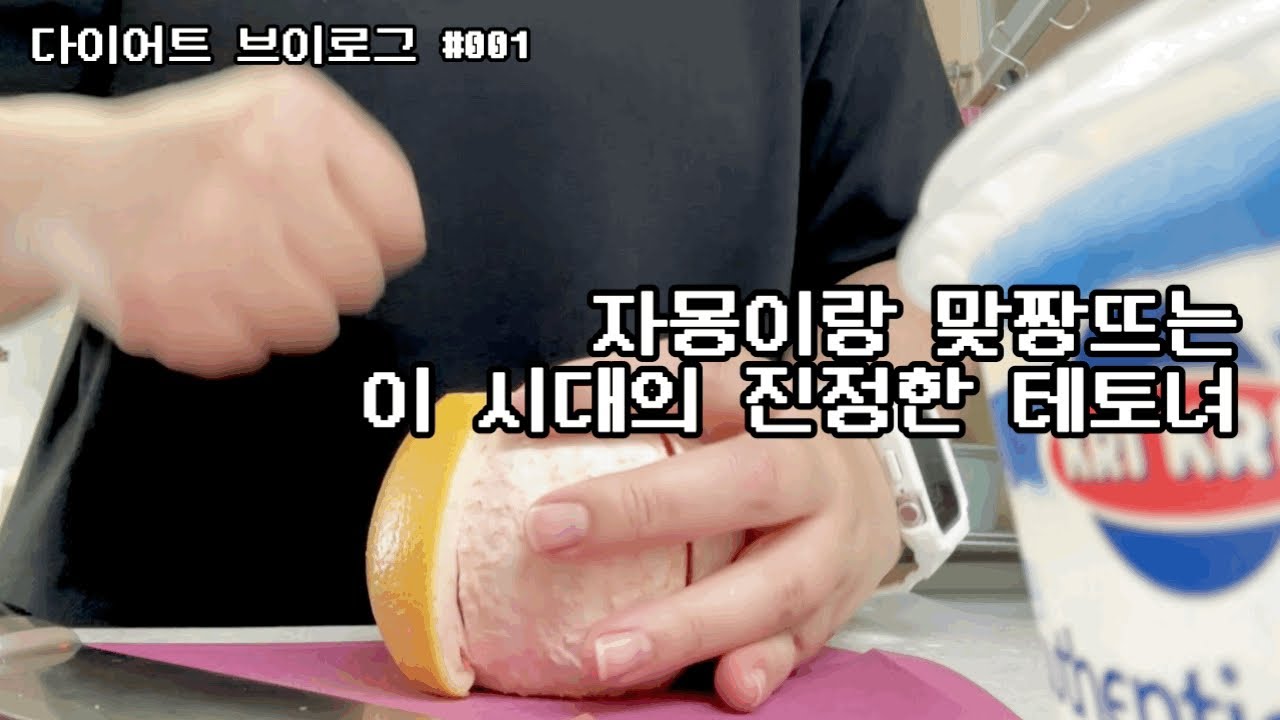 고도비만 다이어트 브이로그 #001 | 다이어트식단, 직장인다이어트도시락, 백수가 과로사한다더니 노는날이 더 바쁜 다이어터