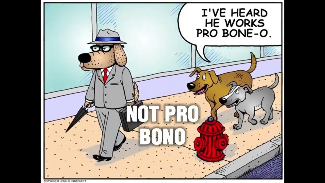 &ldquo;pro bono