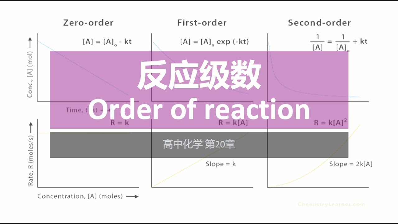 反应级数｜高二化学第20章 ・化学反应速率｜