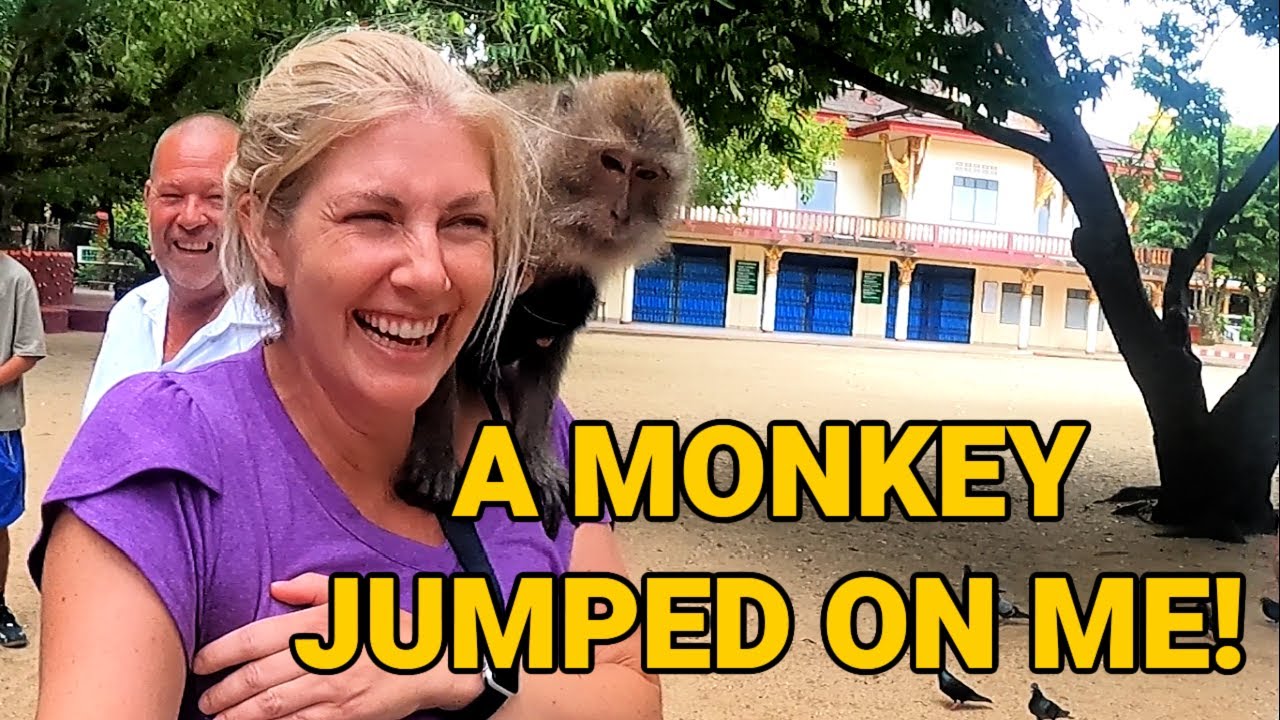 A MONKEY JUMPS ON ME | AMAZING VIEWS | TEMPLE TOUR | AO NANG KRABI THAILAND