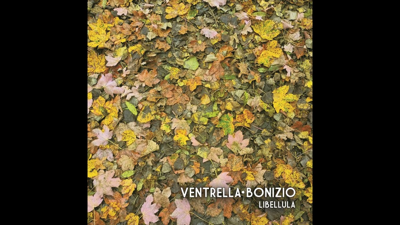 LIBELLULA (Ventrella - Bonizio)