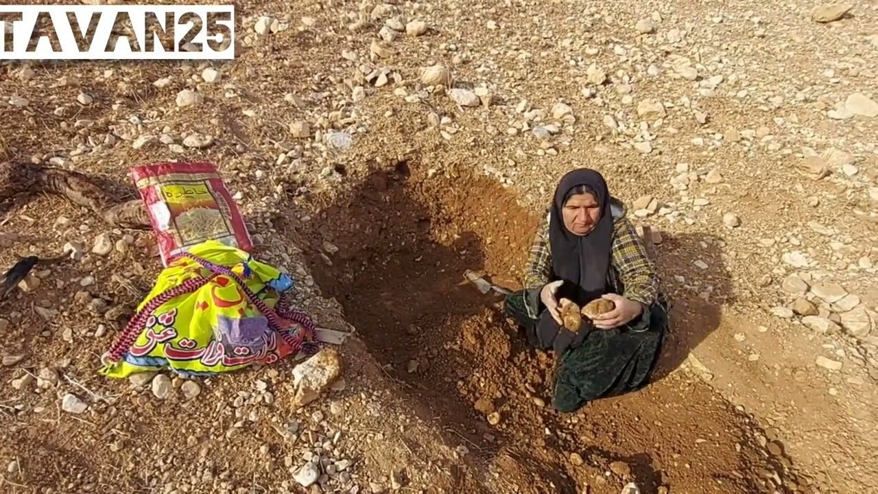۲۴ ژانویهٔ ۲۰۲۶