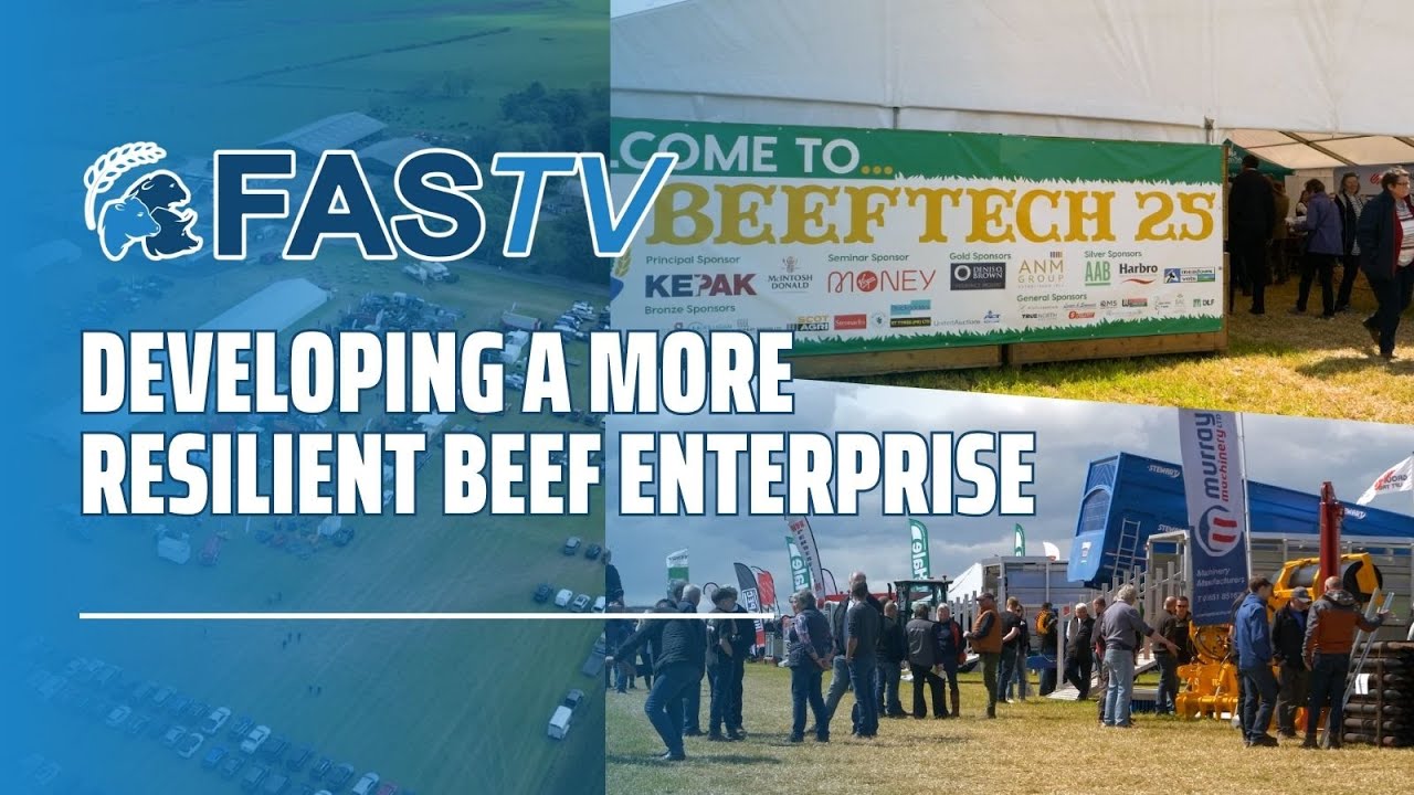 FAS TV Series 5 Ep 8 - Developing a More Resilient Beef Finishing Enterprise