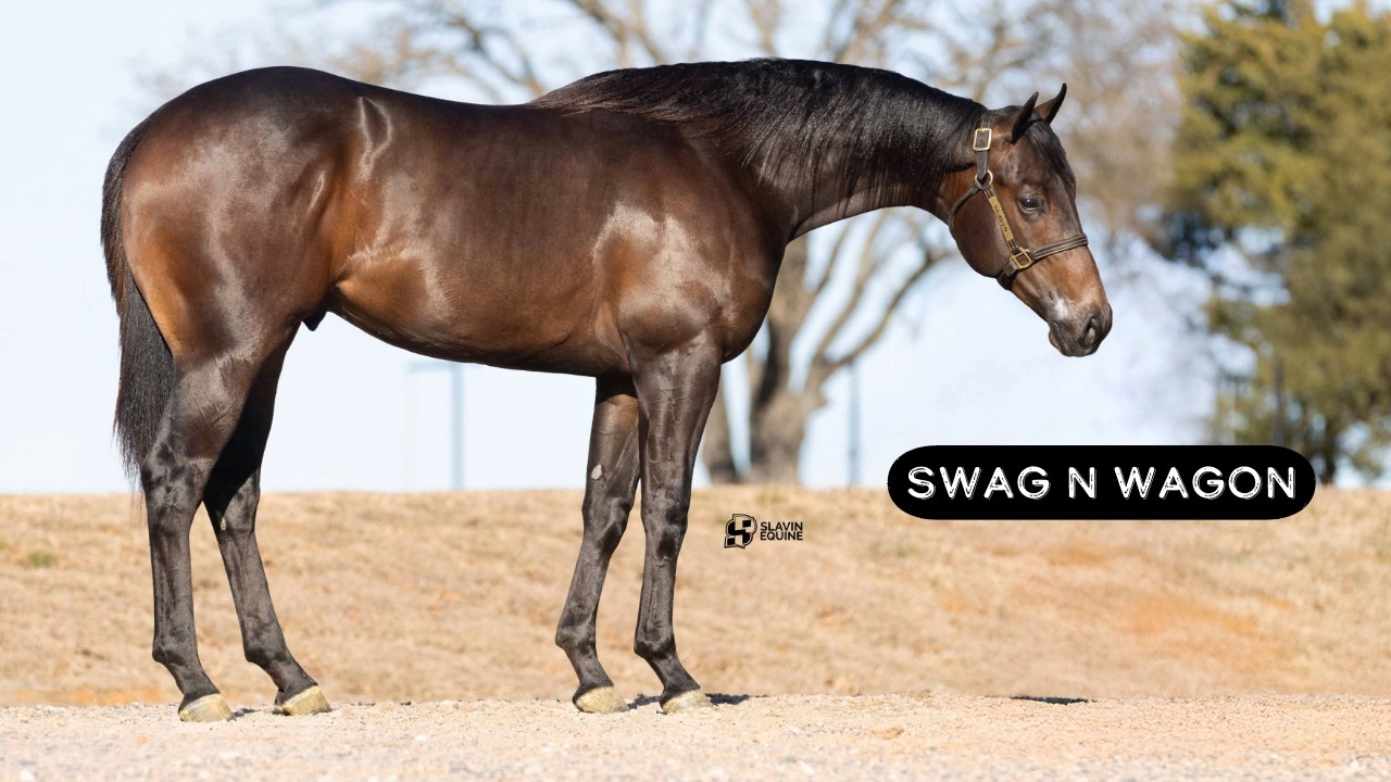 Swag N Wagon