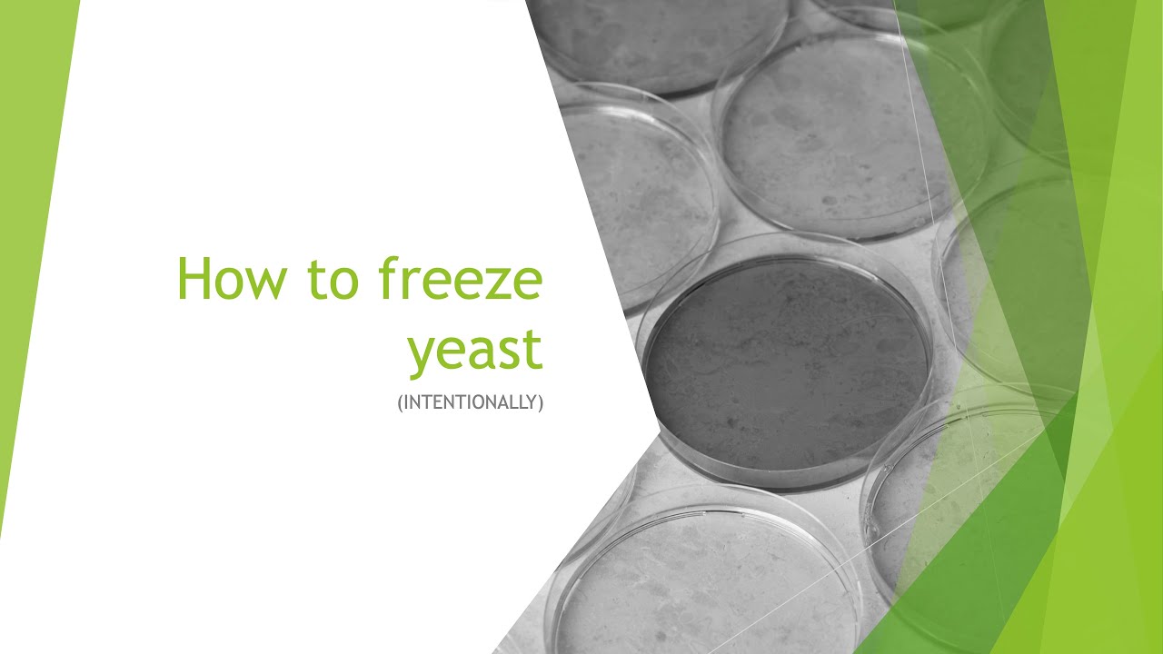 Freezing & Storing Yeast