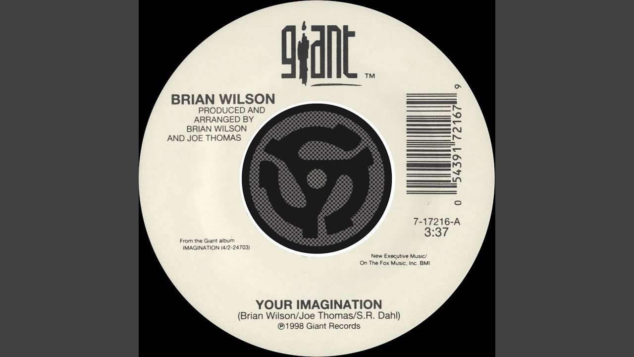Your Imagination (45 Version)