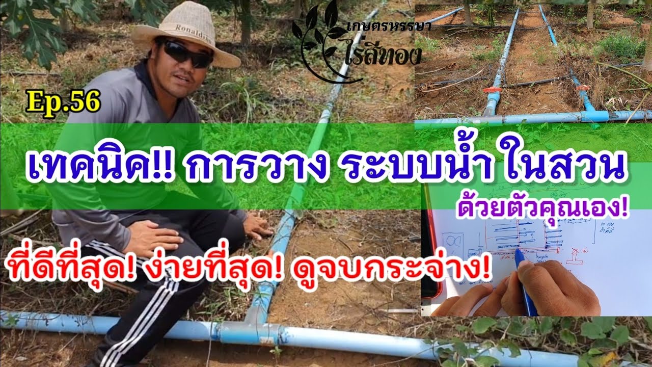 บ้าแล้ว!! บอกหมด คำนวณระบบน้ำ ในไร่ในสวน? |Ep.56 เทคนิค การวางระบบน้ำในสวน