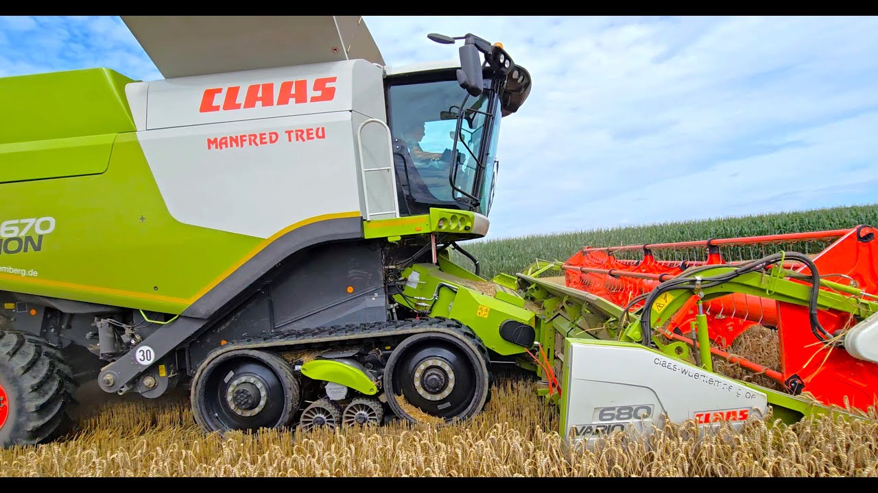 Claas Lexion 670 Harvester threshing wheat in the moor with chain drive in Bavaria!