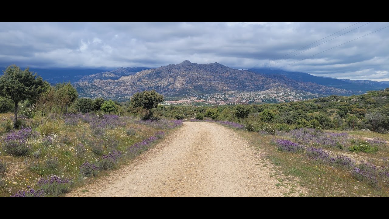 Camino Madrid 2024 NL / English/ Español