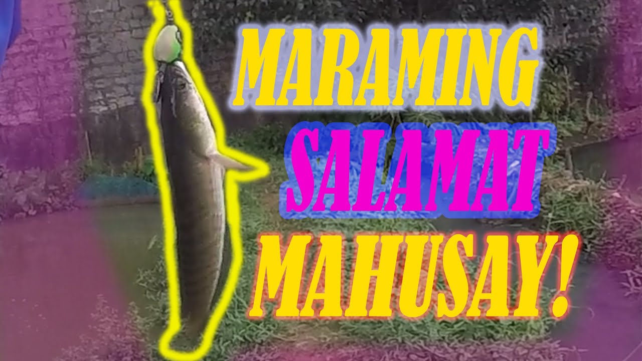 Snakehead Fishing PH | LET's GO 15K SUBS!!!!!!!!!!!!
