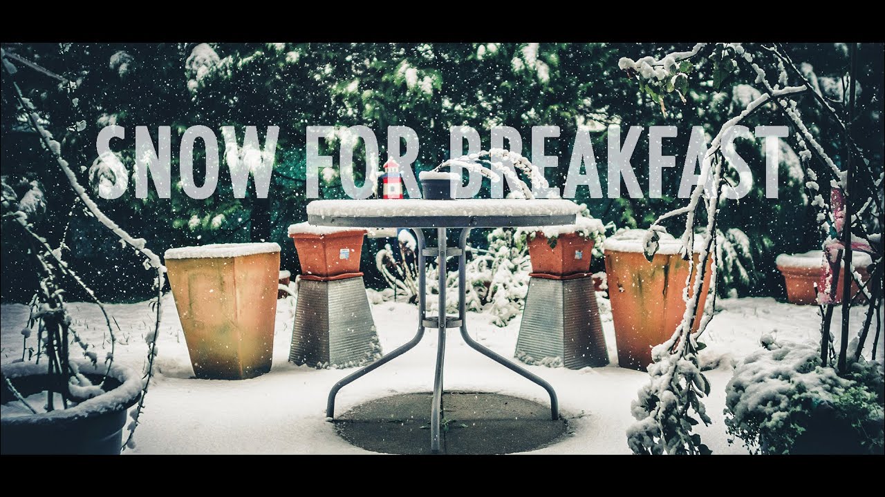 SNOW FOR BREAKFAST (OLYMPUS OM-D E-M1 MARK II - SIGMA 16MM F1.4)