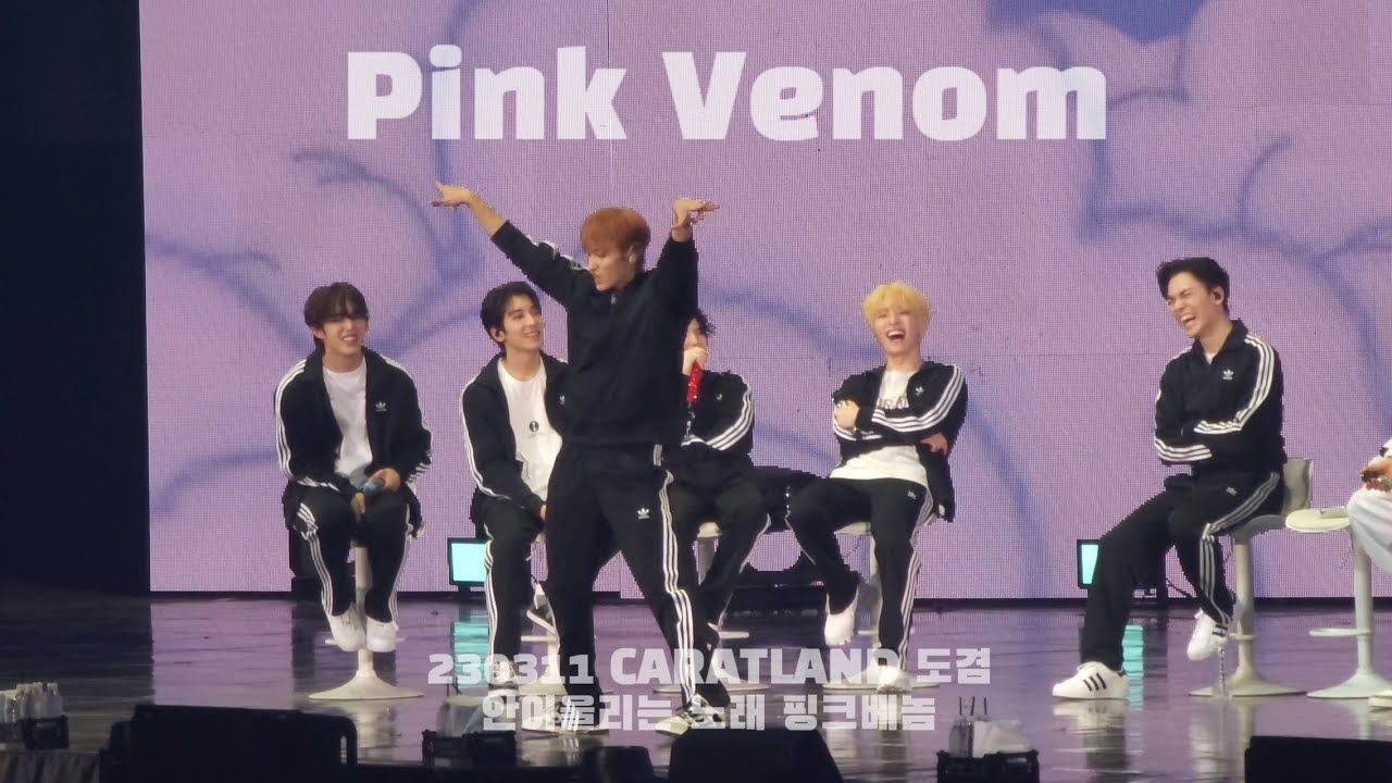 230311 세븐틴 캐럿랜드 '안 어울리는 노래'- 도겸 Pink Venom (원곡: 블랙핑크)