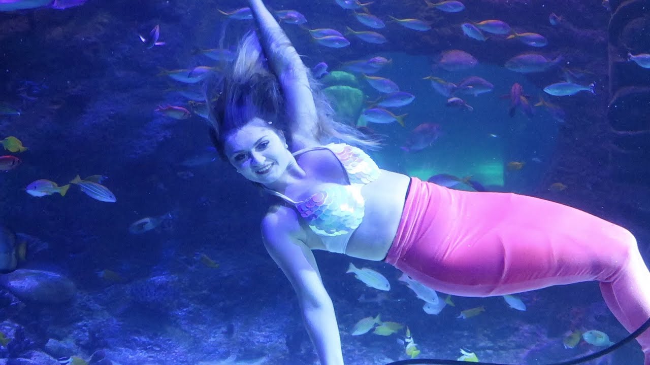 Meeting A Real Life Mermaid & Becoming Best Friends With A Shark At SEA LIFE  Orlando!