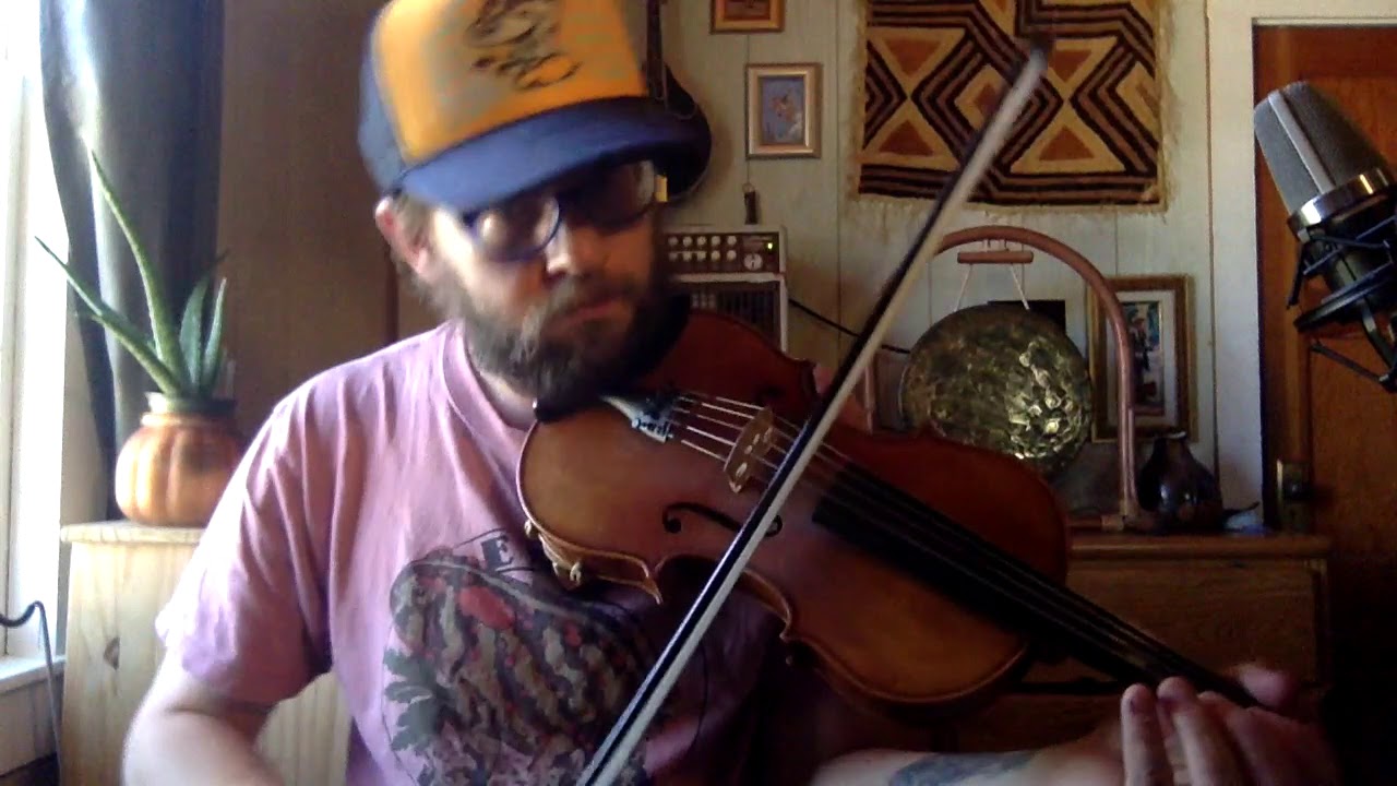 Spotted Pony - Fiddle - Andy Reiner