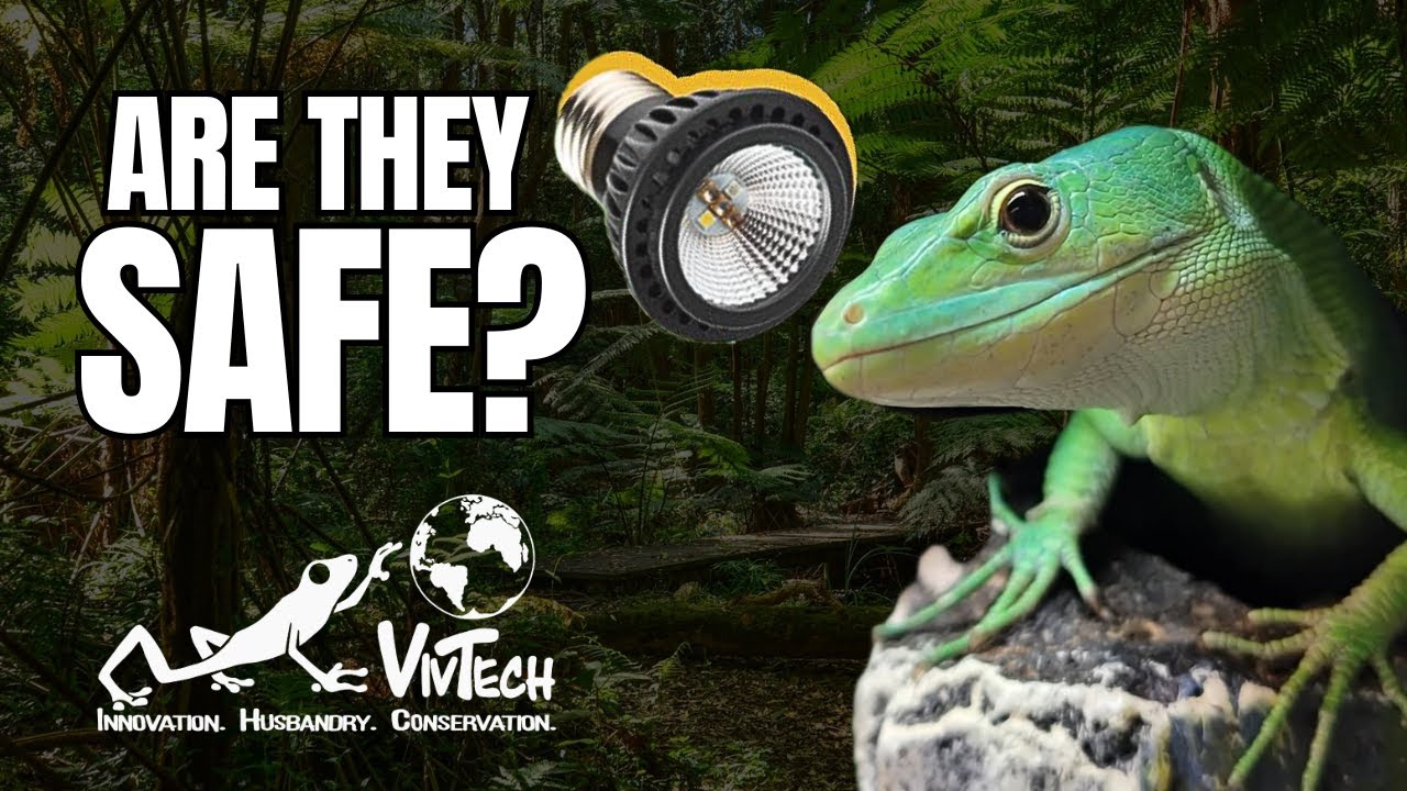 Are VivTech LED UV Bulbs Safe for your Reptile?