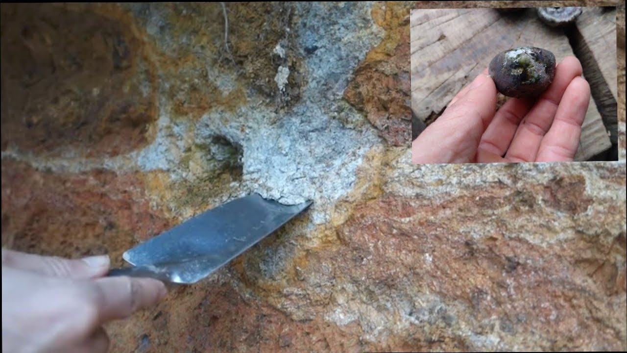 山の土から鉢を作り山の木を植え作るミニ盆栽  ♯626