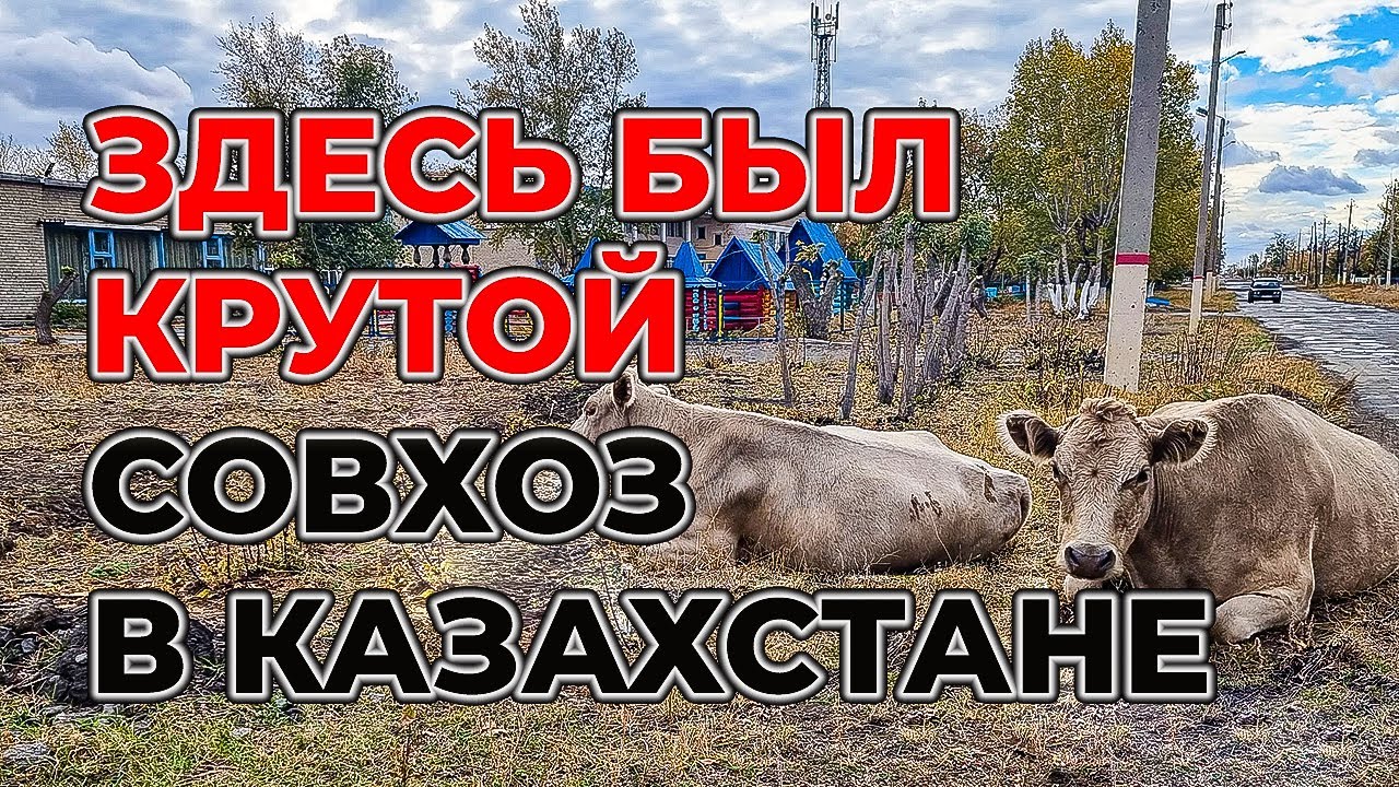 Казахстан, знаменитая Москалевка Аулиекольский р-он Костанайская обл. село которому более 100 лет Ч1
