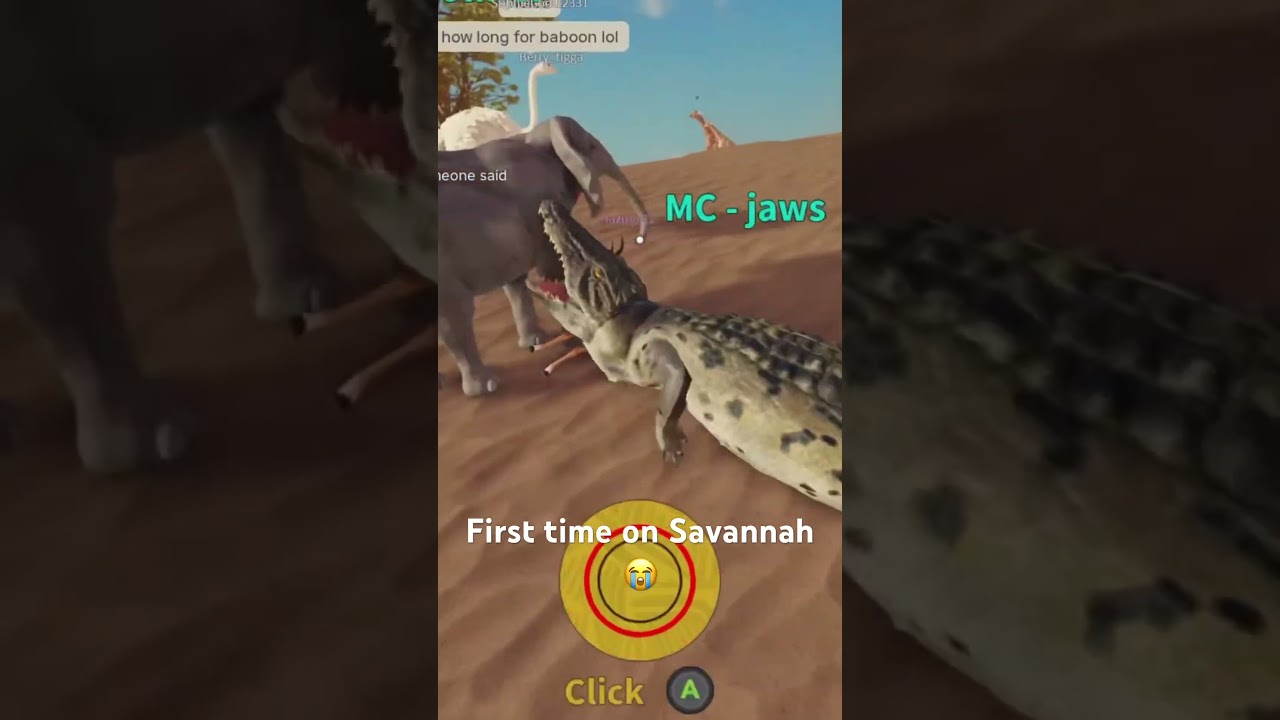 КОГДА ТЫ ВПЕРВЫЕ В SAVANNAH LIFE!!! 